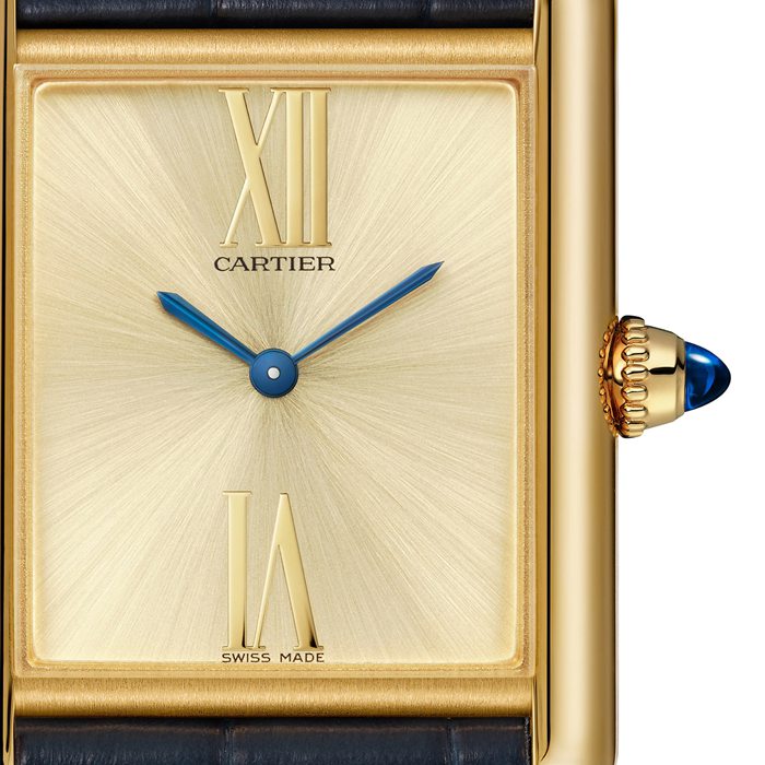 Cartier Tank Louis Cartier Gli Orologi della Svizzera 100 Anni Anniversario Esclusivo Numerato individualmente 1-100 WGTA0213 - immagine 2