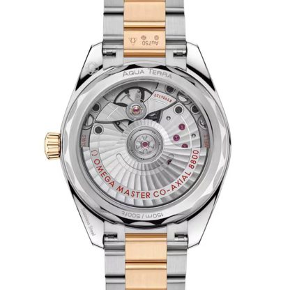 Omega Seamaster Aqua Terra Shades 34 Mm Acciaio - Moonshine™ Oro su Acciaio - Moonshine™ Oro O22020342008001 - immagine 2