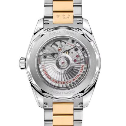 Omega Seamaster Aqua Terra Shades 38mm Acciaio - Oro Moonshine™ su Acciaio - Oro Moonshine™ O22020382002002 - immagine 2