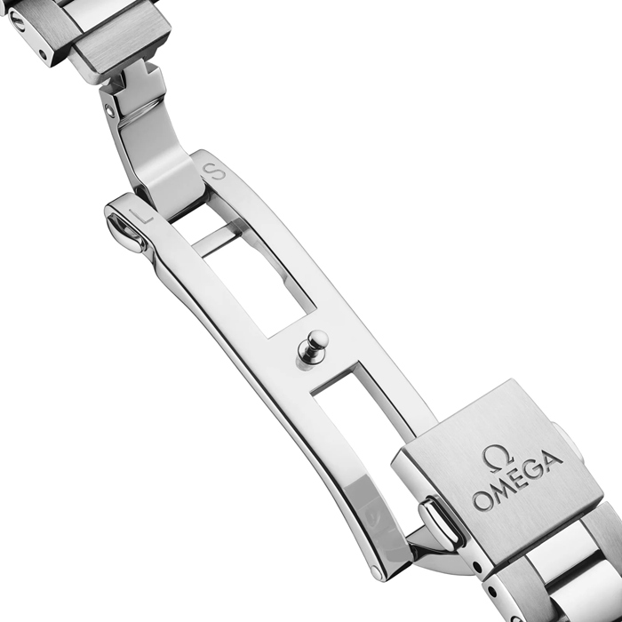 Orologio da donna Omega Seamaster Aqua Terra 150M 30mm Argento O22010302002001 - immagine 5